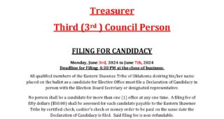 ESTOO ELECTION BOARD FILING FOR CANDIDACY: Treasurer and 3rd Council Person